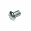 Porter-Cable Porter Cable Sander Replacement Screw # 852310